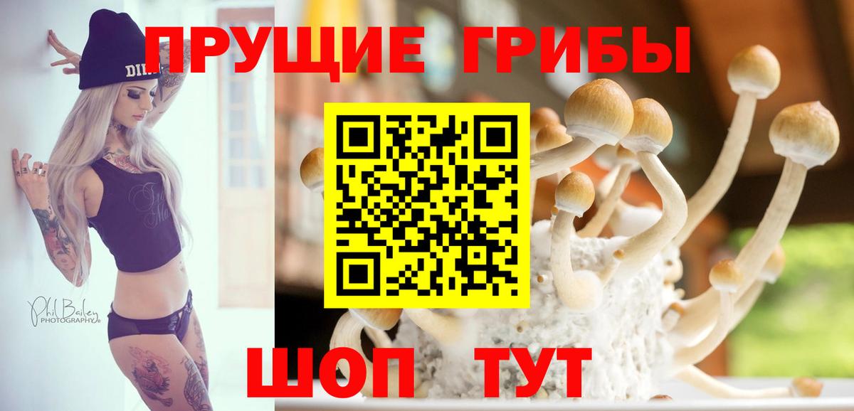 Галлюциногенные грибы прущие грибы Славгород